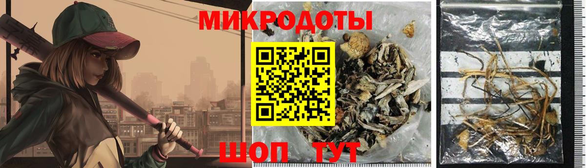 Галлюциногенные грибы мицелий  закладки  Тында  Вход с VPN  Псилоцибиновые грибы MAGIC MUSHROOMS 